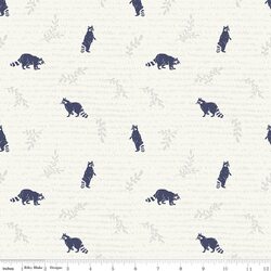 Raccoons in Canyon Rose