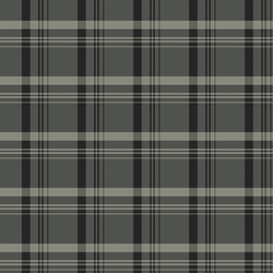Plaid in Evening