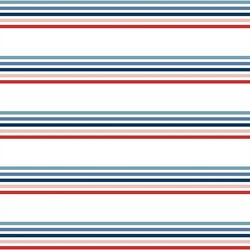 Parade Stripe in Liberty