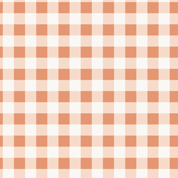 Gingham in Coral Pink