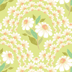 Daisy Arches in Sprout