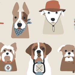 Large Camping Pups in Khaki