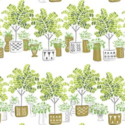 Fiddlehead Trees in Greenery