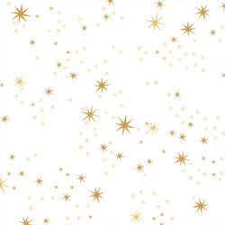 Starry Night in White
