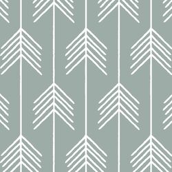 Vanes in Eucalyptus