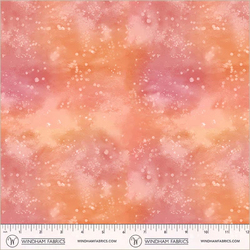 Underwater in Coral
