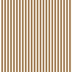 Trimming Stripe in Golden Glow