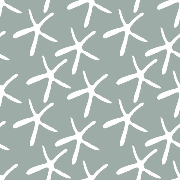 Starfish in Eucalyptus