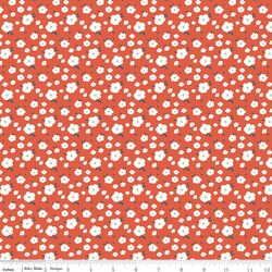 Flower Bed in Orange