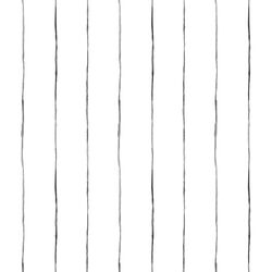 Pinstripe in White