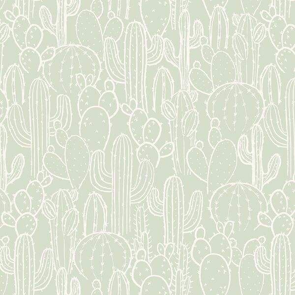 Cactus Patch in Cloud