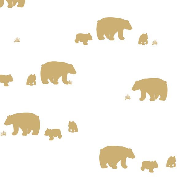 Bear Silhouette in Golden Canyon