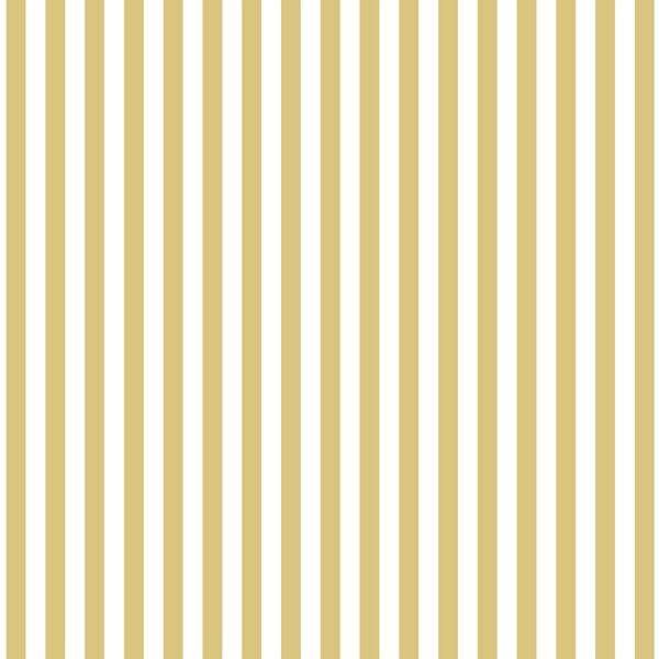 Dress Stripe in Honey