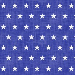Large Star Spangled in Blue Jeans
