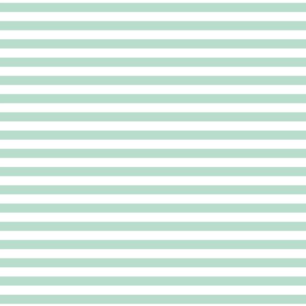Horizontal Dress Stripe in Mint