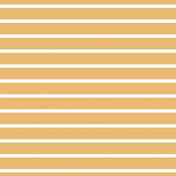 Stripe in Golden Afternoon