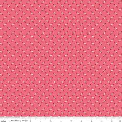 Genoveffa in Tea Rose