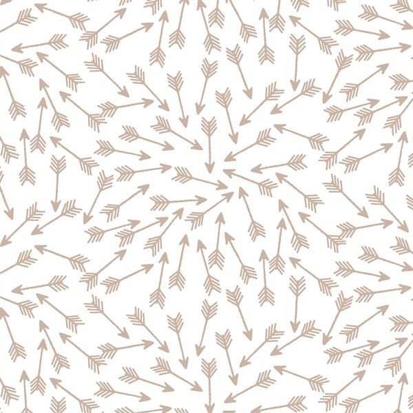 Arrows in Sand on White