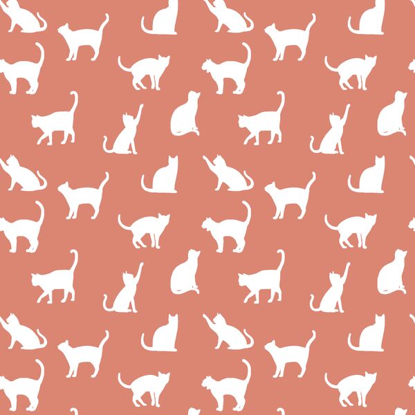 Cat Silhouette in Desert Rose