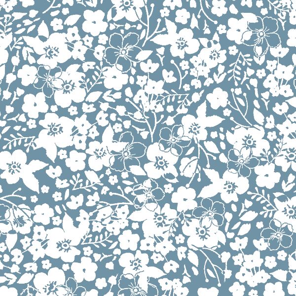 Forget Me Not in Marine