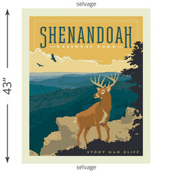 Shenandoah Poster Panel (2019)