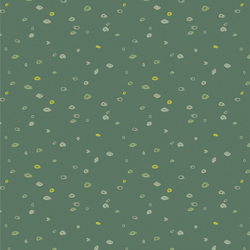 Seed Scatter in Forest