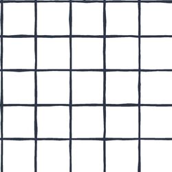 Windowpane in Eclipse on White