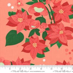 Poinsettia in Carnation