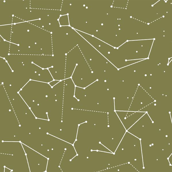 Star Charts in Jungle