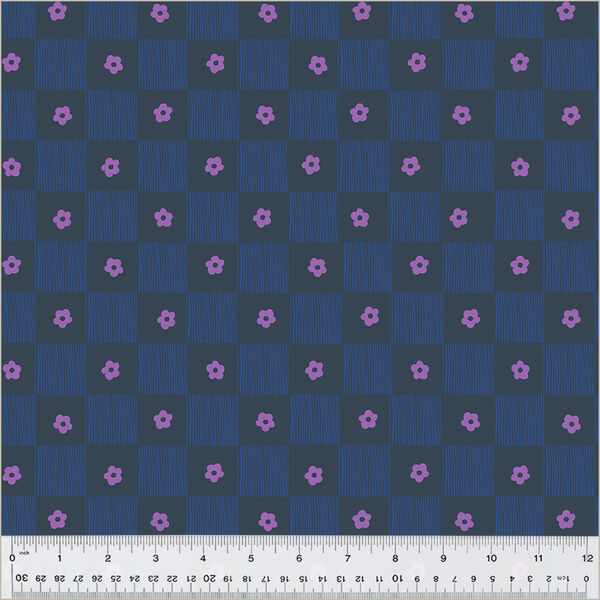 Footpath in Indigo