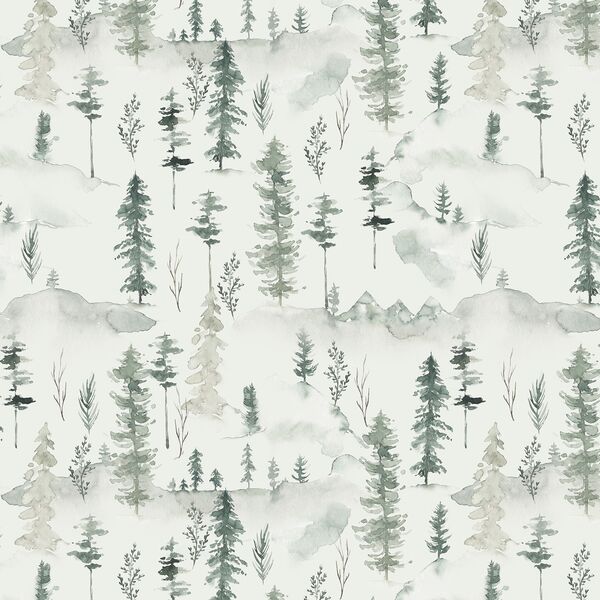 Piney Woods in Misty