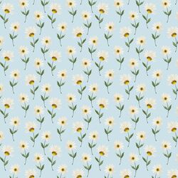 Wild Daisy in Blue Sky