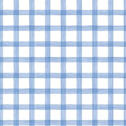 Painted Gingham in Sky Blue