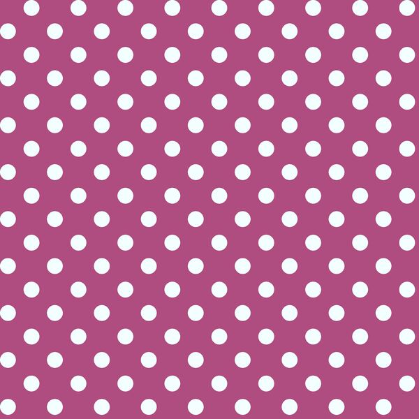 Candy Dot in Azalea