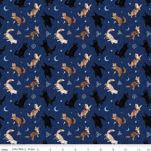 Cats in Navy