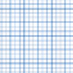 Summer Gingham in Blue