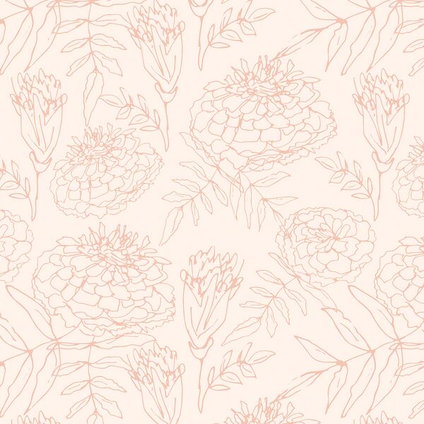 Marigold Sketch in Pink