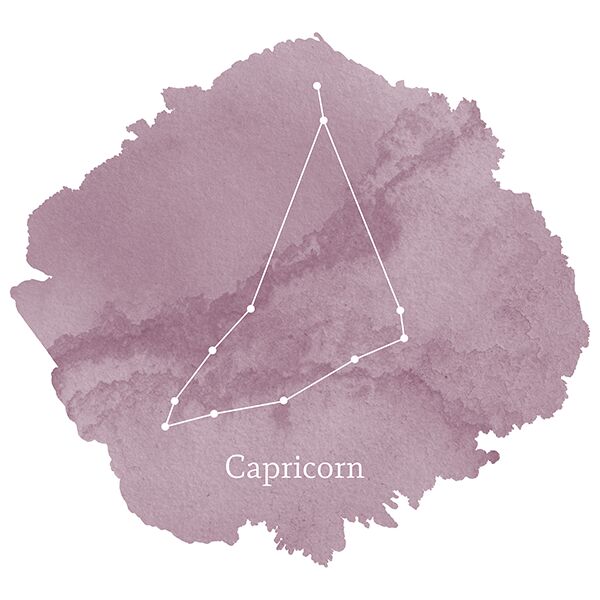 Capricorn Sign Panel in Celestial