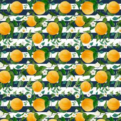 Small Oranges in Navy Stripes