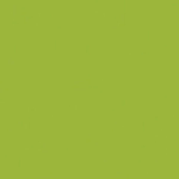 Solid in Light Olive