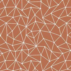 Astral Nights in Terracotta