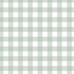 Gingham in Mint