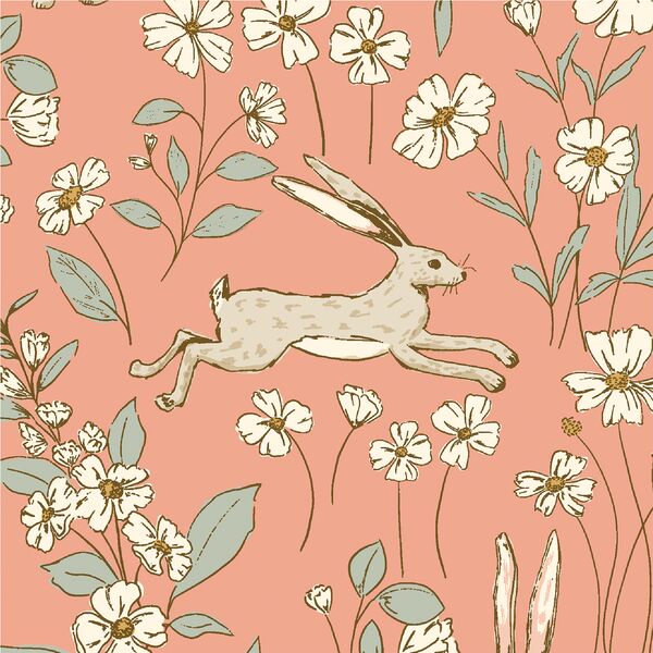 Large Hares in Coral