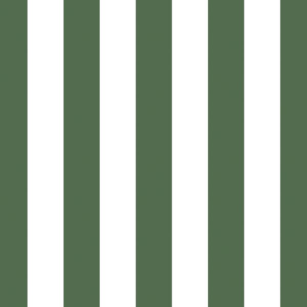 Play Stripe in Kale