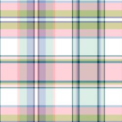 Bunting Plaid in Spring Meadow