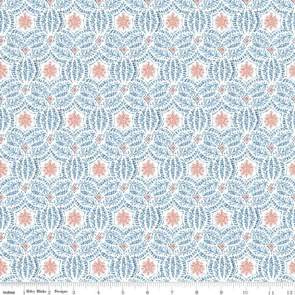 Starfish in Coral