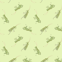 Grasshopper in Leafy