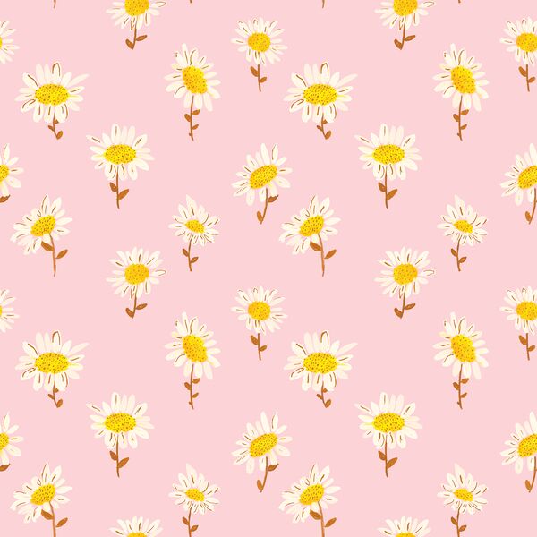 Sunny Daisies in Pink