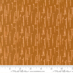 Textured in Caramel