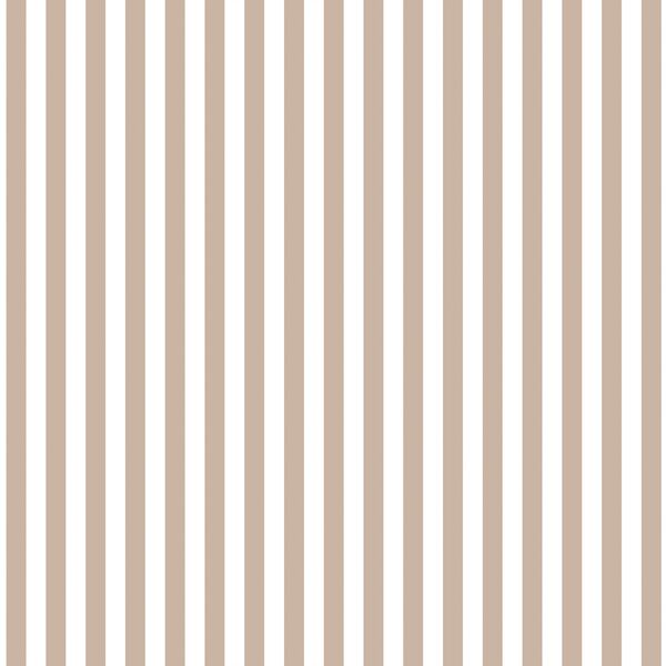Dress Stripe in Sand